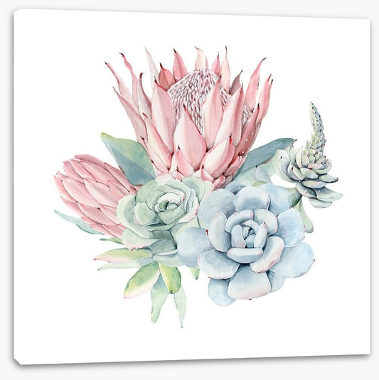 Succulent protea