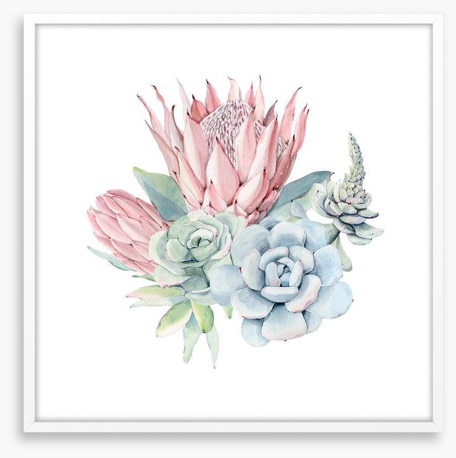 Succulent protea