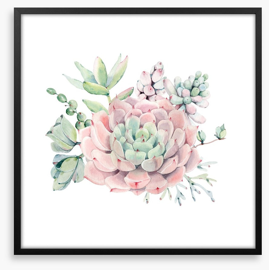 Succulent spring