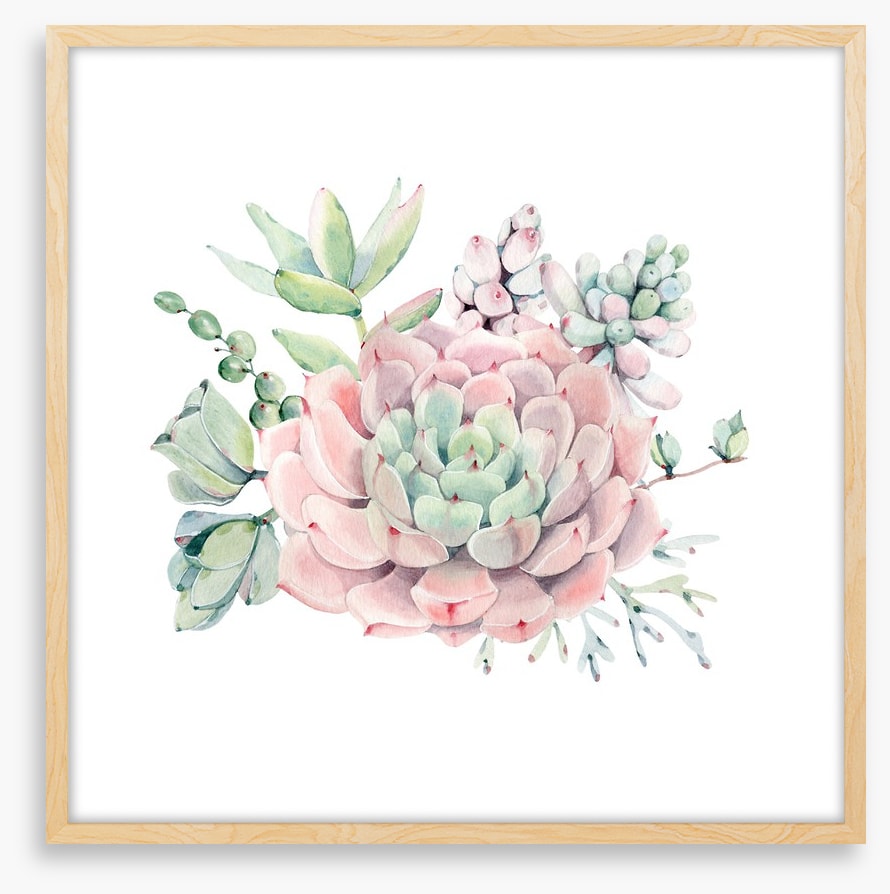 Succulent spring