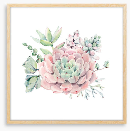Succulent spring