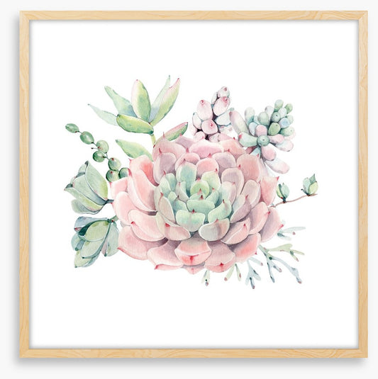 Succulent spring