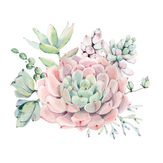 Succulent spring
