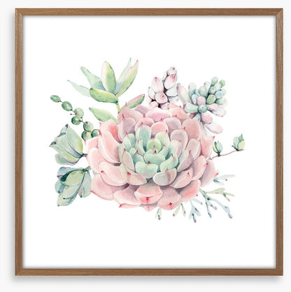 Succulent spring