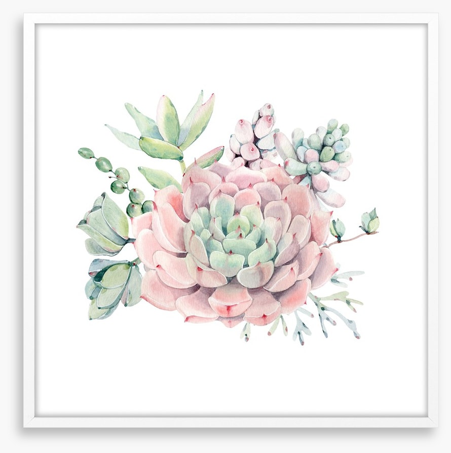 Succulent spring