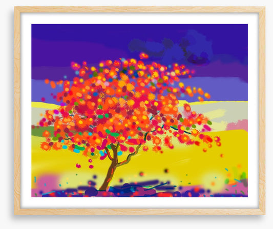The peacock tree