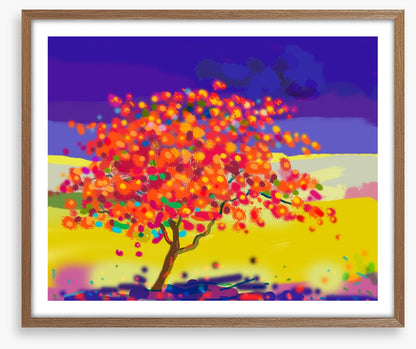 The peacock tree