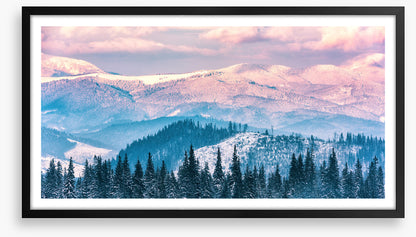 Alpine beauty