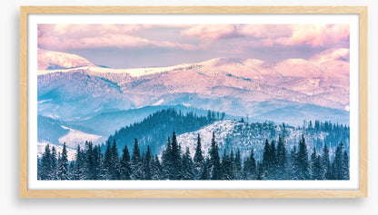 Alpine beauty