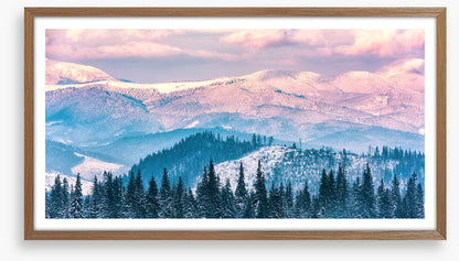 Alpine beauty