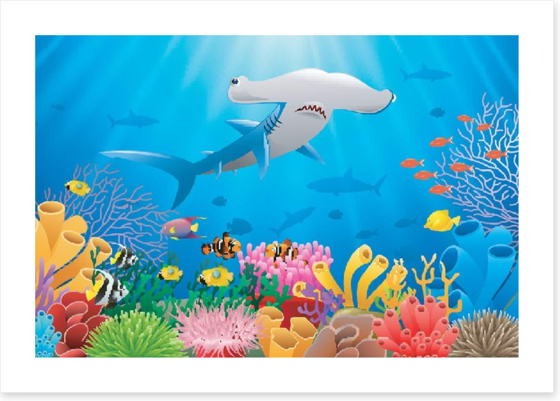 Hammerhead reef
