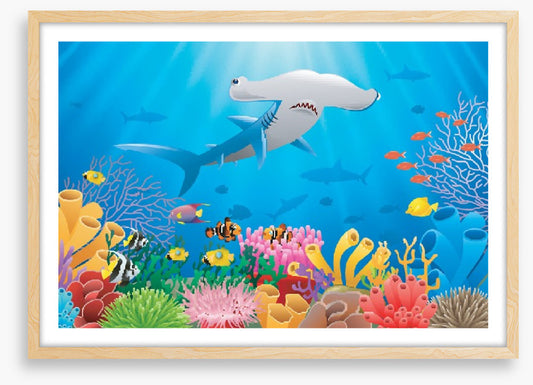 Hammerhead reef