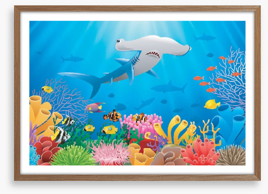 Hammerhead reef