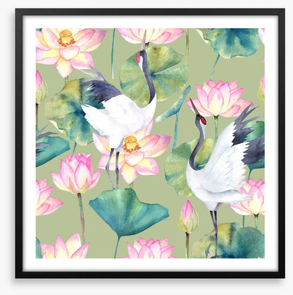 Cranes and lotus