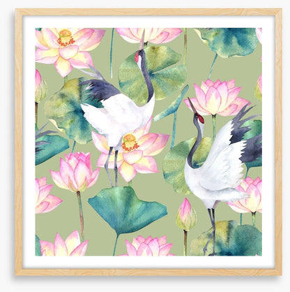 Cranes and lotus