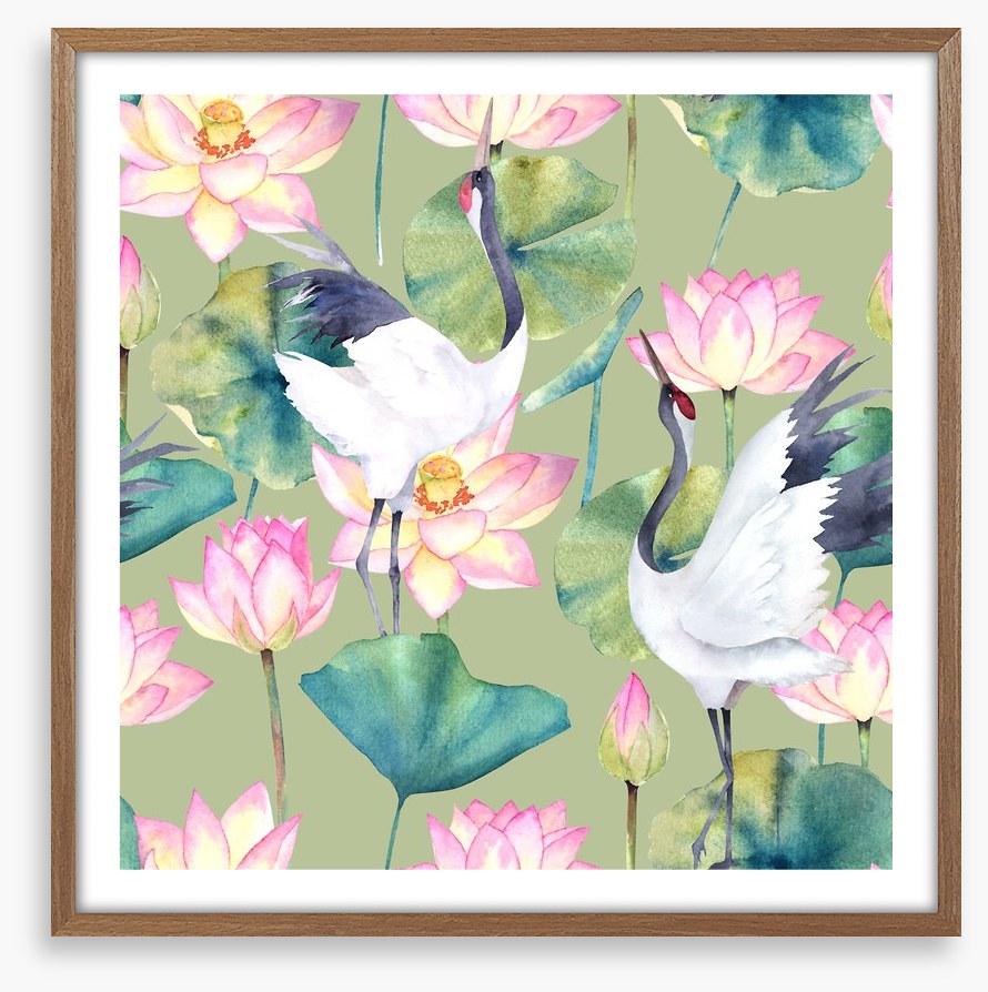 Cranes and lotus