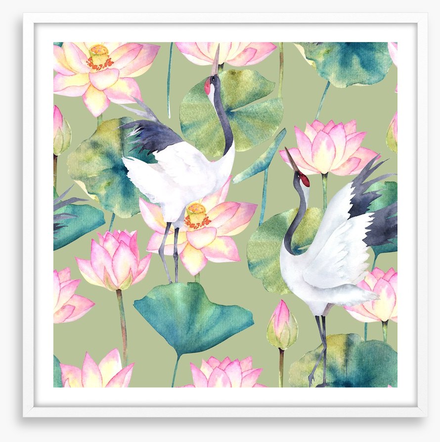 Cranes and lotus