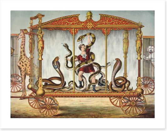 The snake tamer