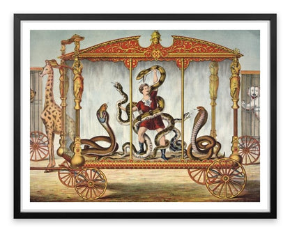The snake tamer