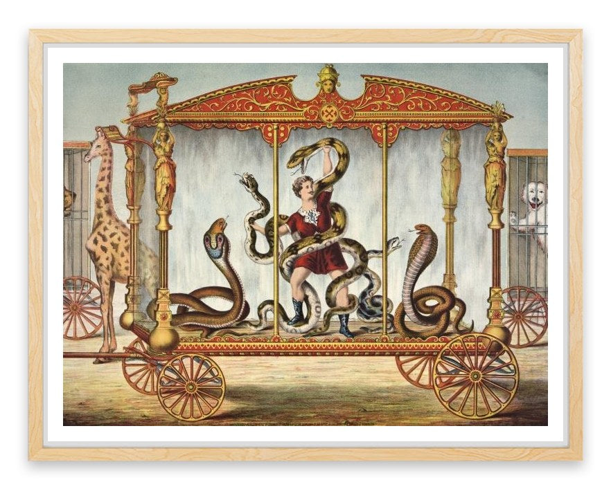 The snake tamer