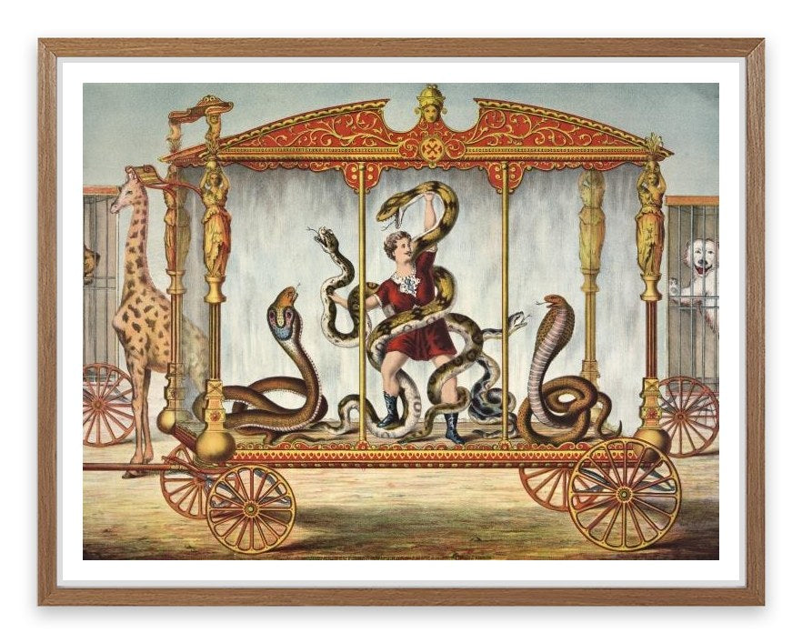 The snake tamer