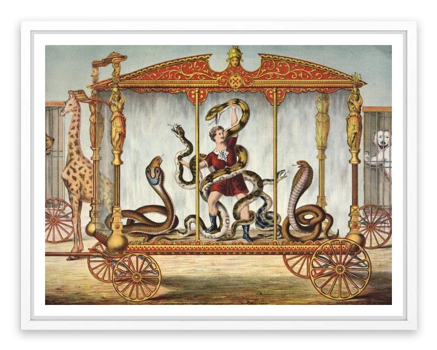 The snake tamer
