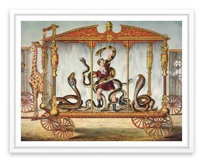 The snake tamer