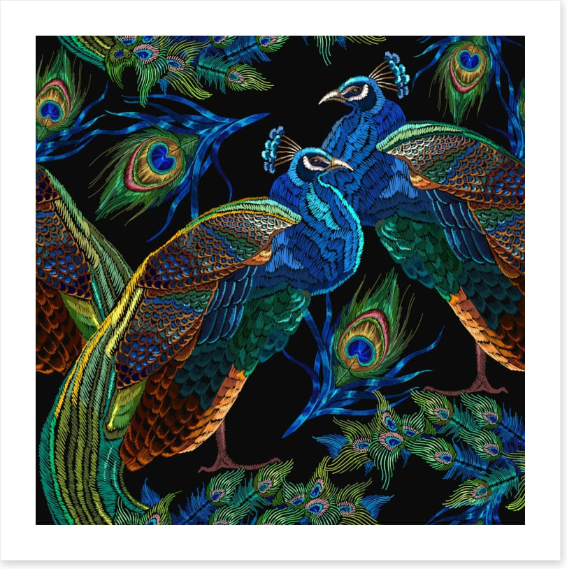 Pretty as a peacock