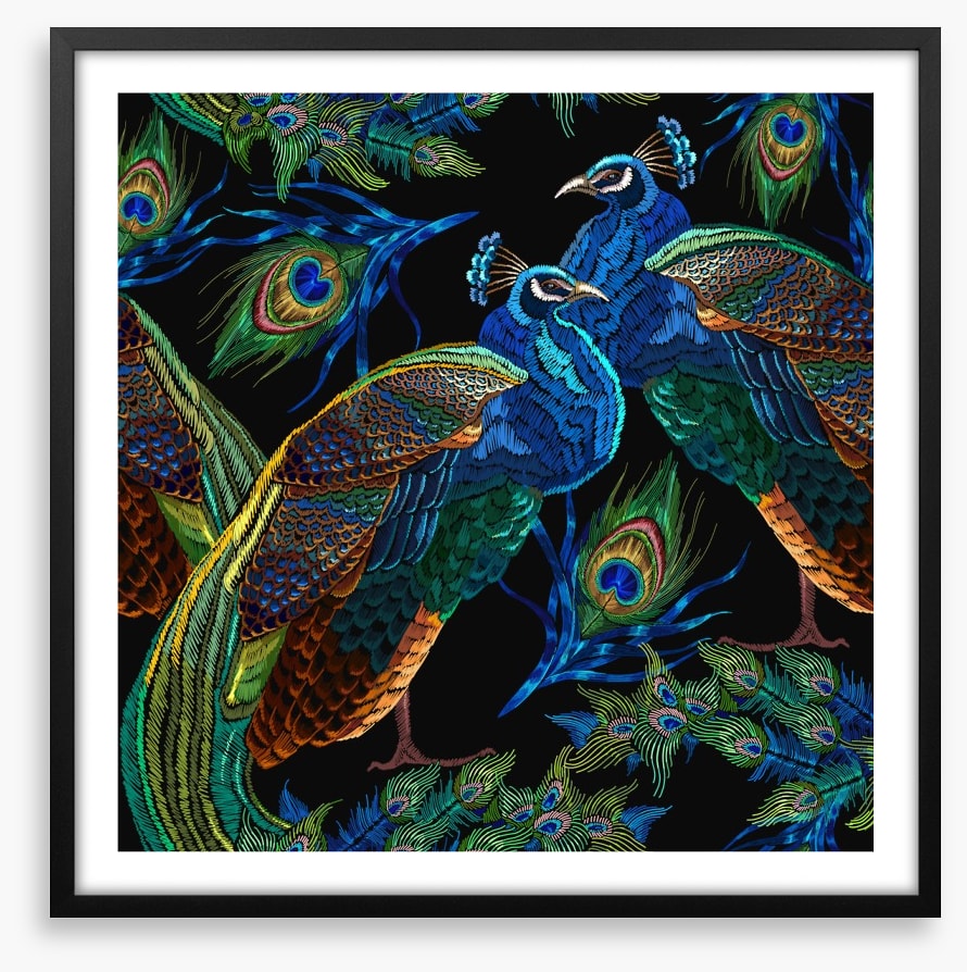 Pretty as a peacock