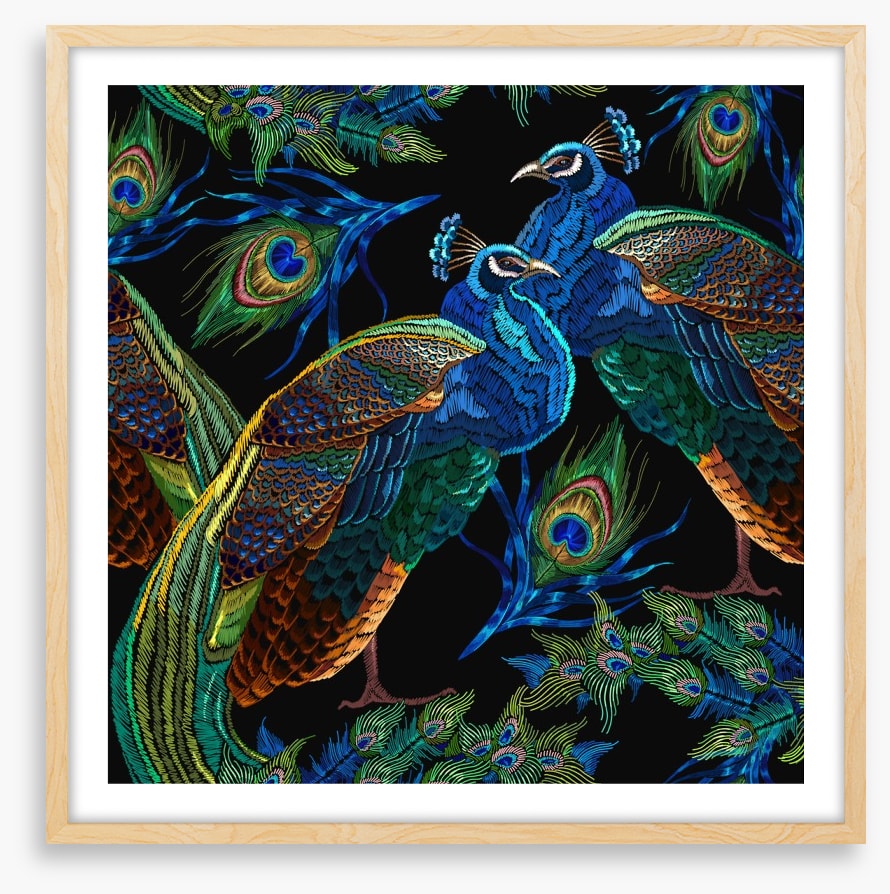 Pretty as a peacock