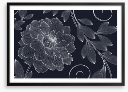 Dahlia flourish