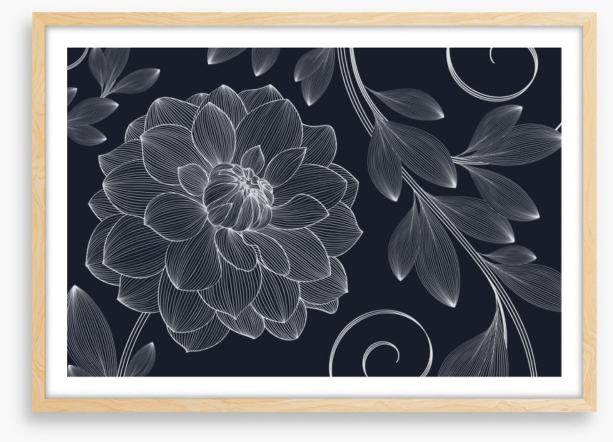 Dahlia flourish