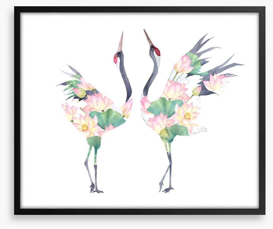 Lotus crane couple