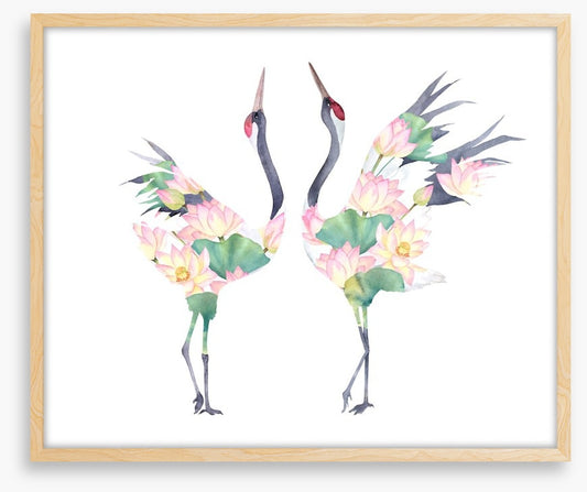 Lotus crane couple