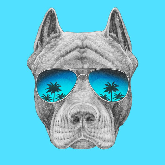 Too cool for catch