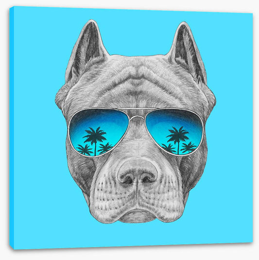 Too cool for catch