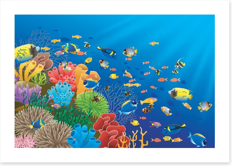 Coral crowd