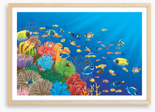 Coral crowd