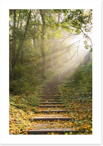 Staircase to heaven