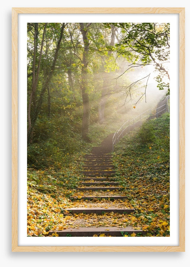 Staircase to heaven