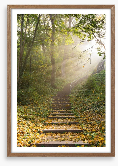 Staircase to heaven