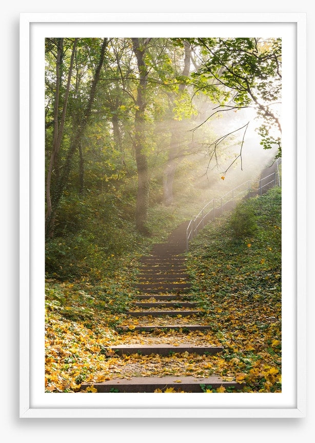 Staircase to heaven