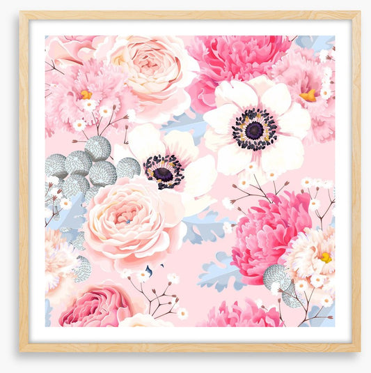 Rosy anemones