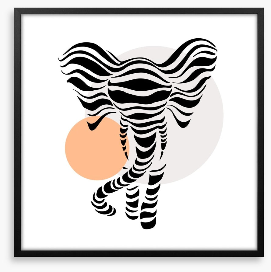 African elephant sundown
