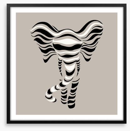 Elephant stripes