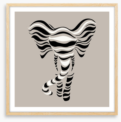Elephant stripes