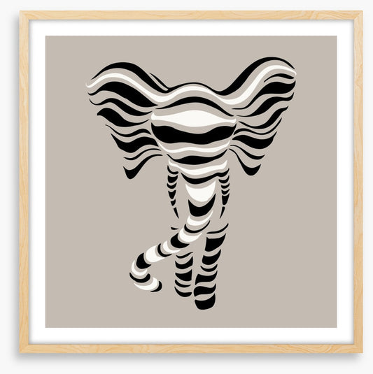 Elephant stripes
