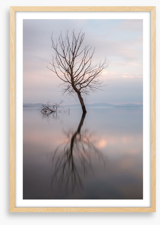 Lady of the lake