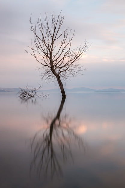 Lady of the lake
