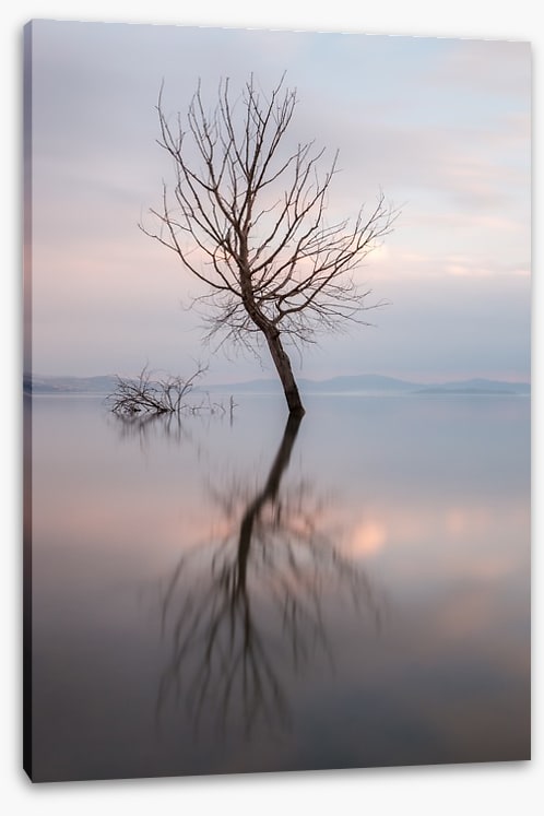 Lady of the lake
